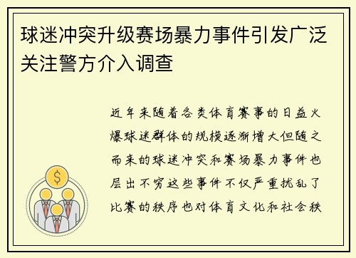 球迷冲突升级赛场暴力事件引发广泛关注警方介入调查